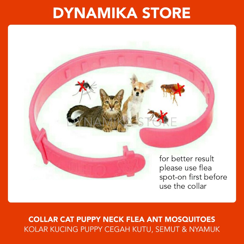 Collar cat dog neck flea tick mite/ KOLAR KUCING CEGAH KUTU, SEMUT & NYAMUK Shopee Malaysia