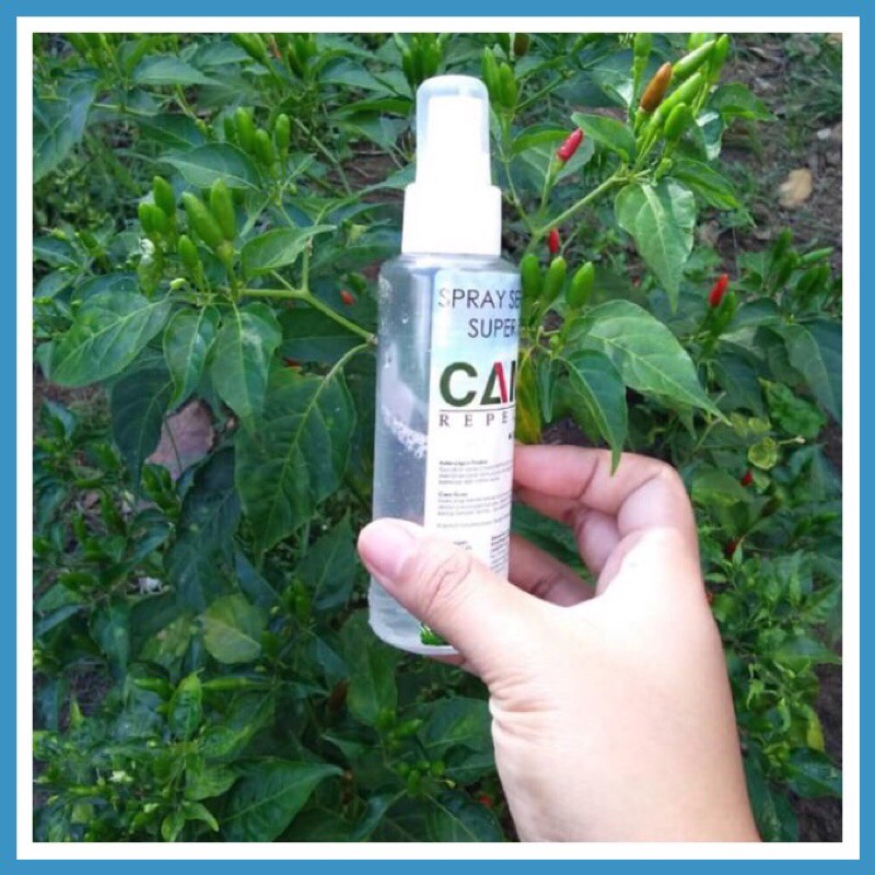 Spray Hapus Serangga Pokok, Koya, Bena, Ulat Pokok