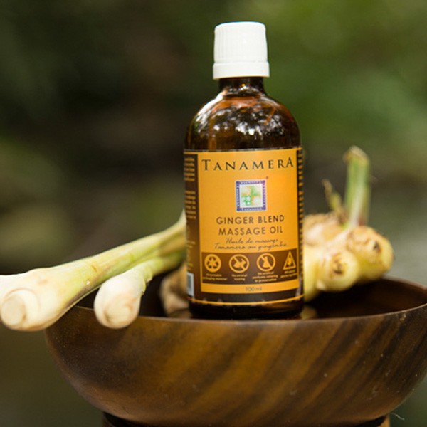 Ready Stock Tanamera Ginger Blend Massage Oil (100 ml) Shopee Malaysia