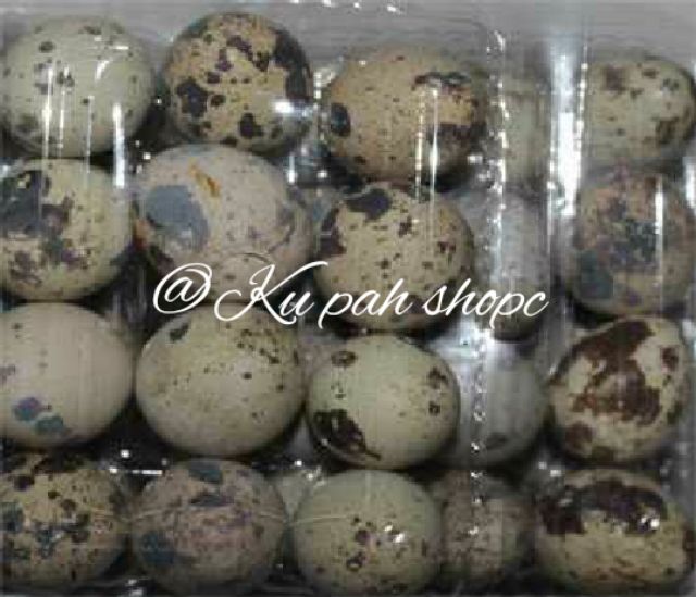 Rebus Telur Puyuh Berapa Lama Sambal Tumis Telur Burung Puyuh Yang