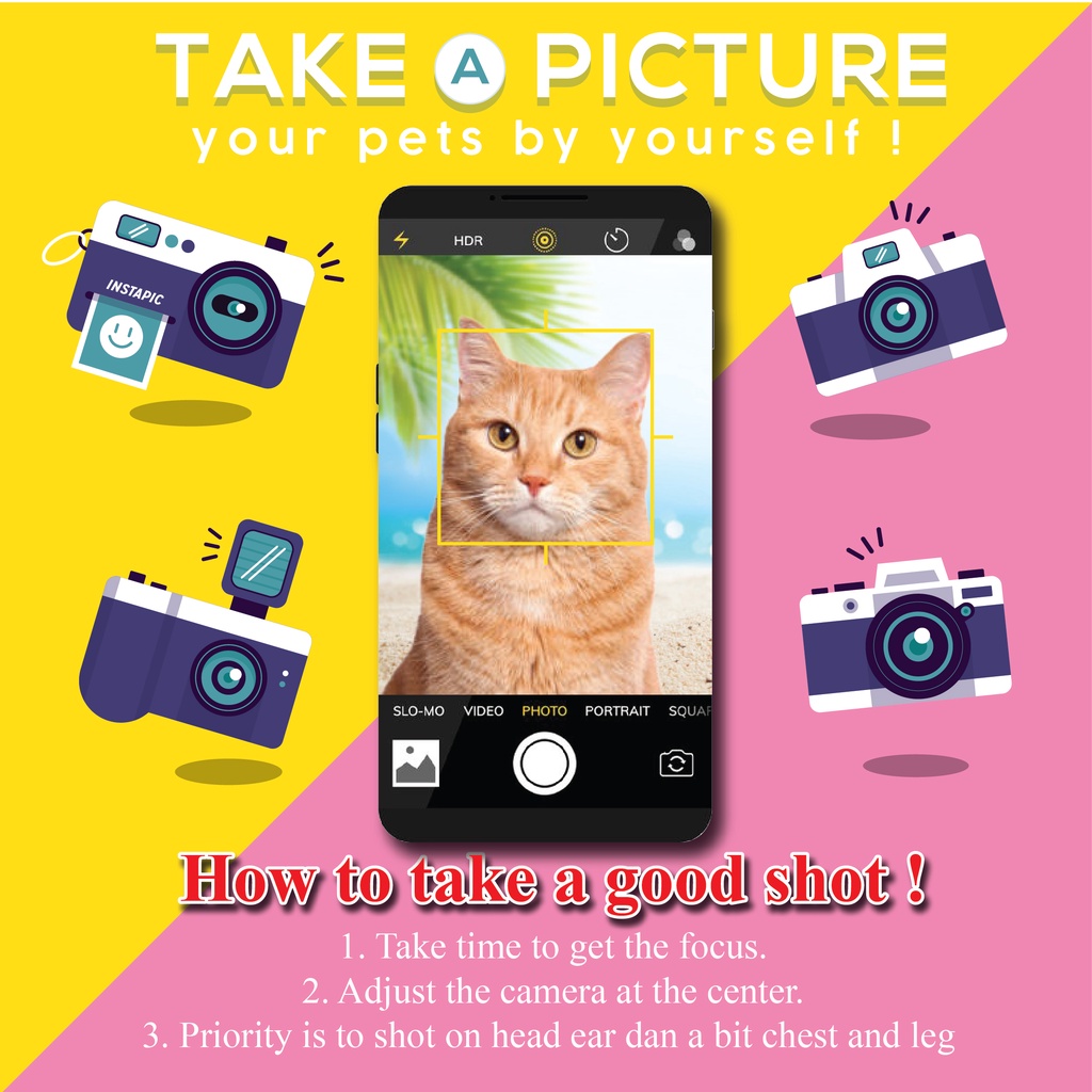 Premium IC Kucing, Identity Card Kucing, Kad Pengenalan Kucing Paling