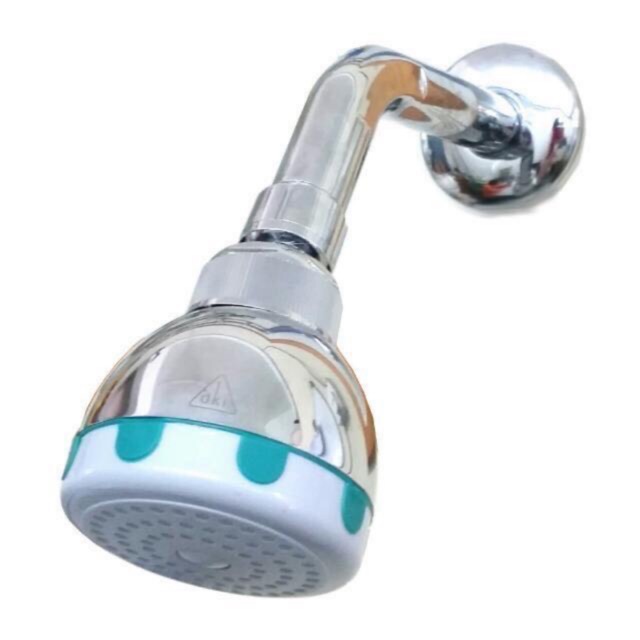 Shower rose head DKI with chrome plated ABS arm and flange Shopee