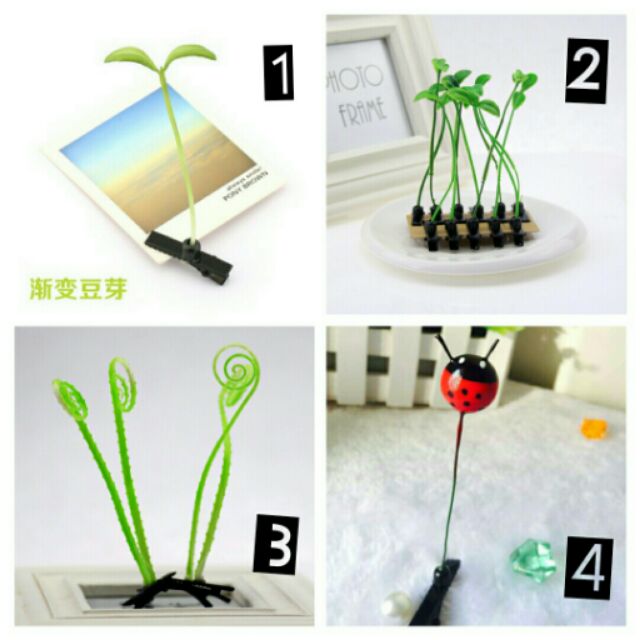 Sprouting tiny grass / flower (Sprout / Grass / Flower / Antenna Hair