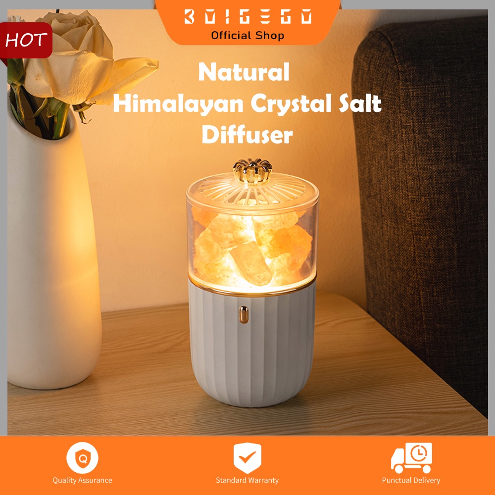 BOIGEGO Essential Oil Diffuser Himalayan Salt Lamp Aromatherapy