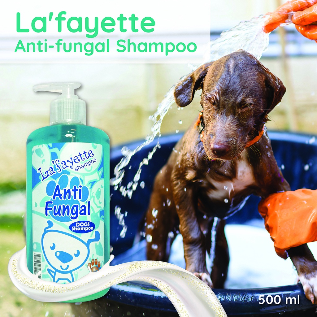 Dog antifungal shampoo Shopee Malaysia