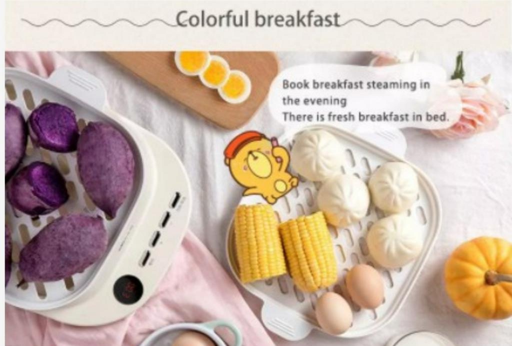 2-Layer Food Steamer | 6 Programs - Bear Malaysia