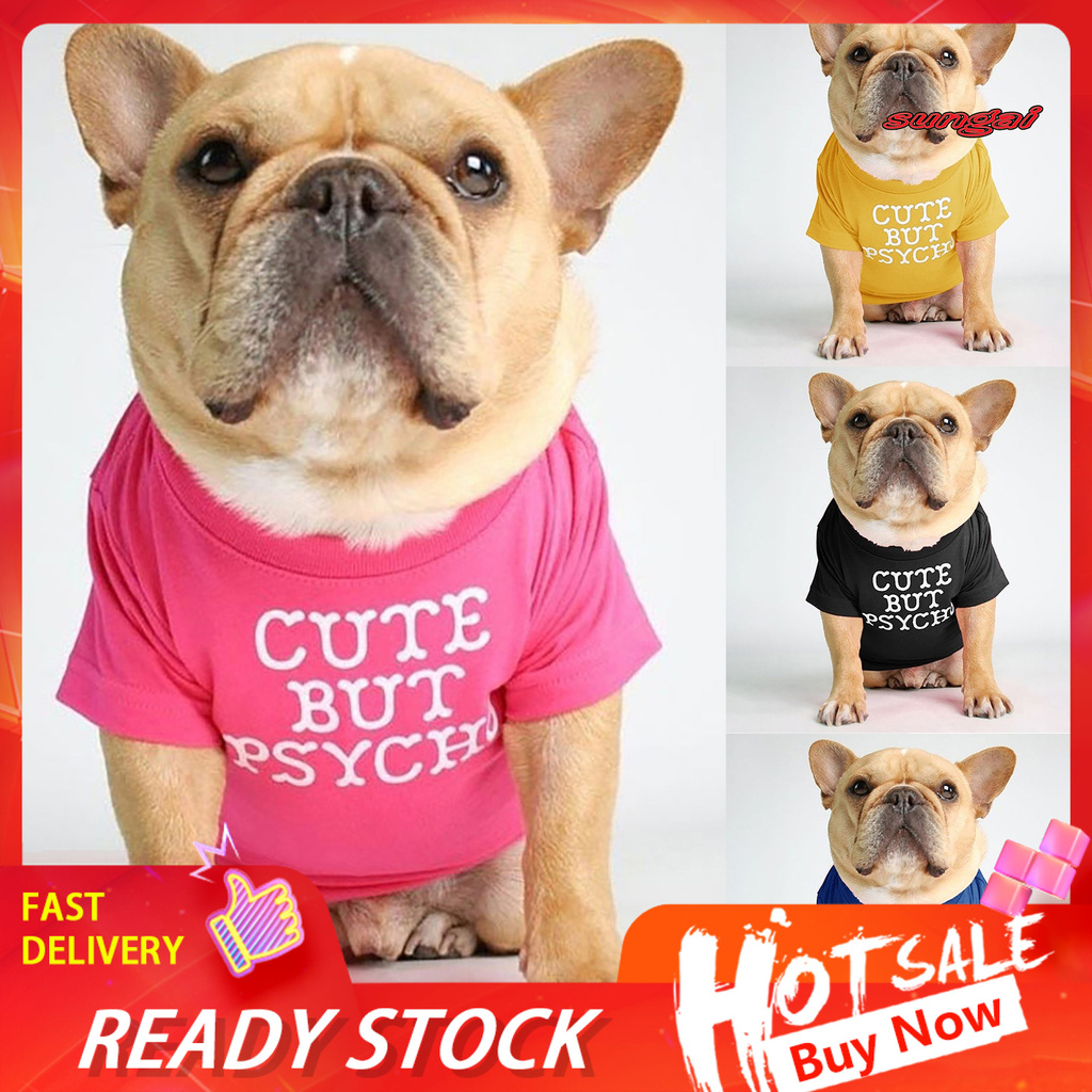 Why Are Dogs So Soft