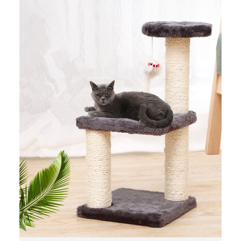 Kitten Cat Tree Toy Scratcher Plat Bed Shopee Malaysia
