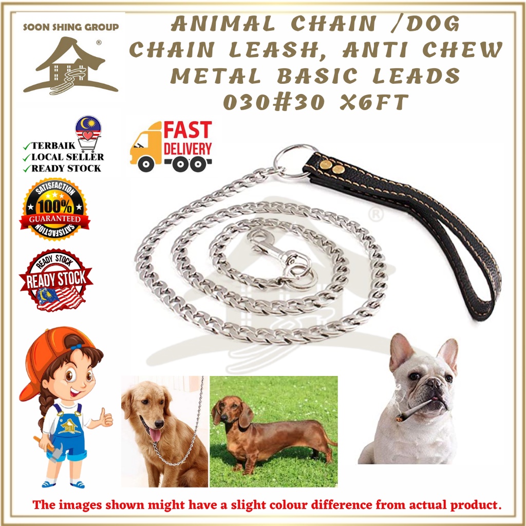 Can Puppies Chew On Metal