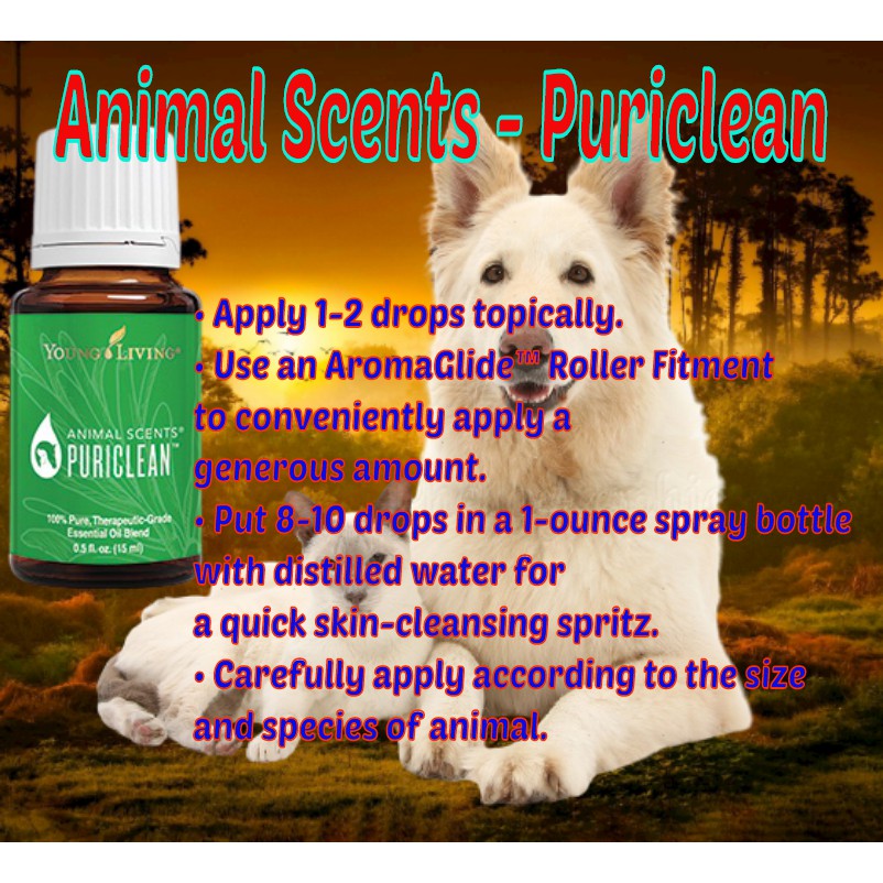 Are Young Living Essential Oils Safe For Dogs