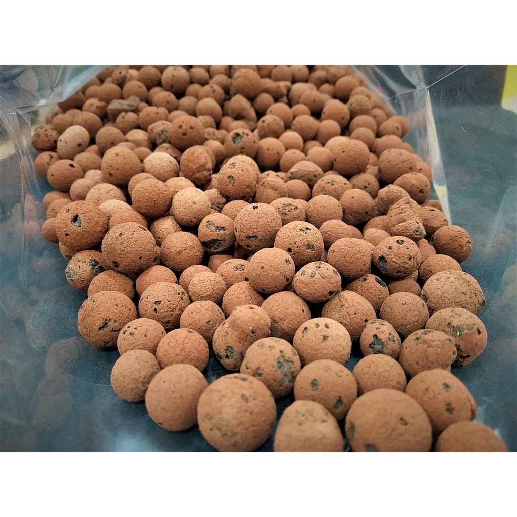 Premium Hydroton from Gernmany (816mm) Clay Pebbles / Clay Balls 1Kg