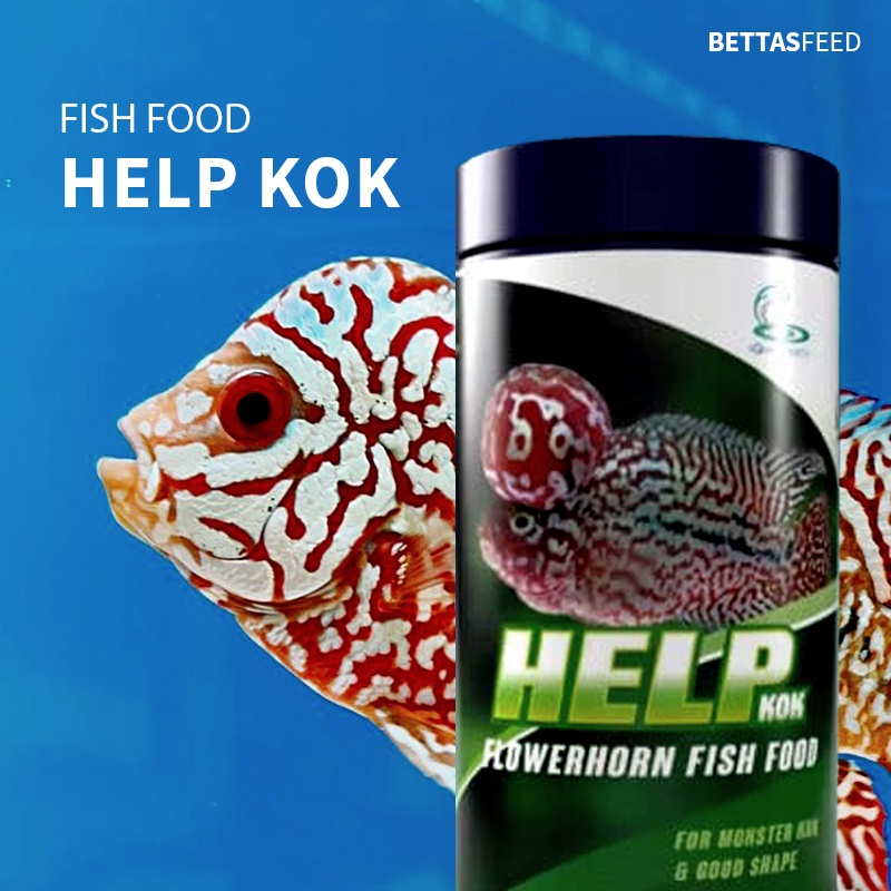 CZ Aqua Products HELP KOK Flowerhorn Kamfa Fish Food for Big Head Kok