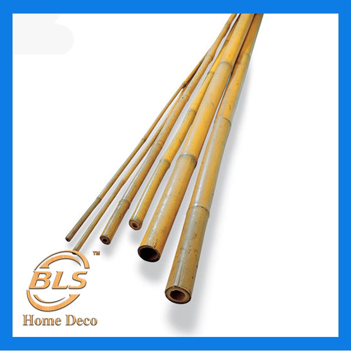 NATURAL DRIED BAMBOO STICK LENGTH 200 CM HOME GARDEN DECORATION