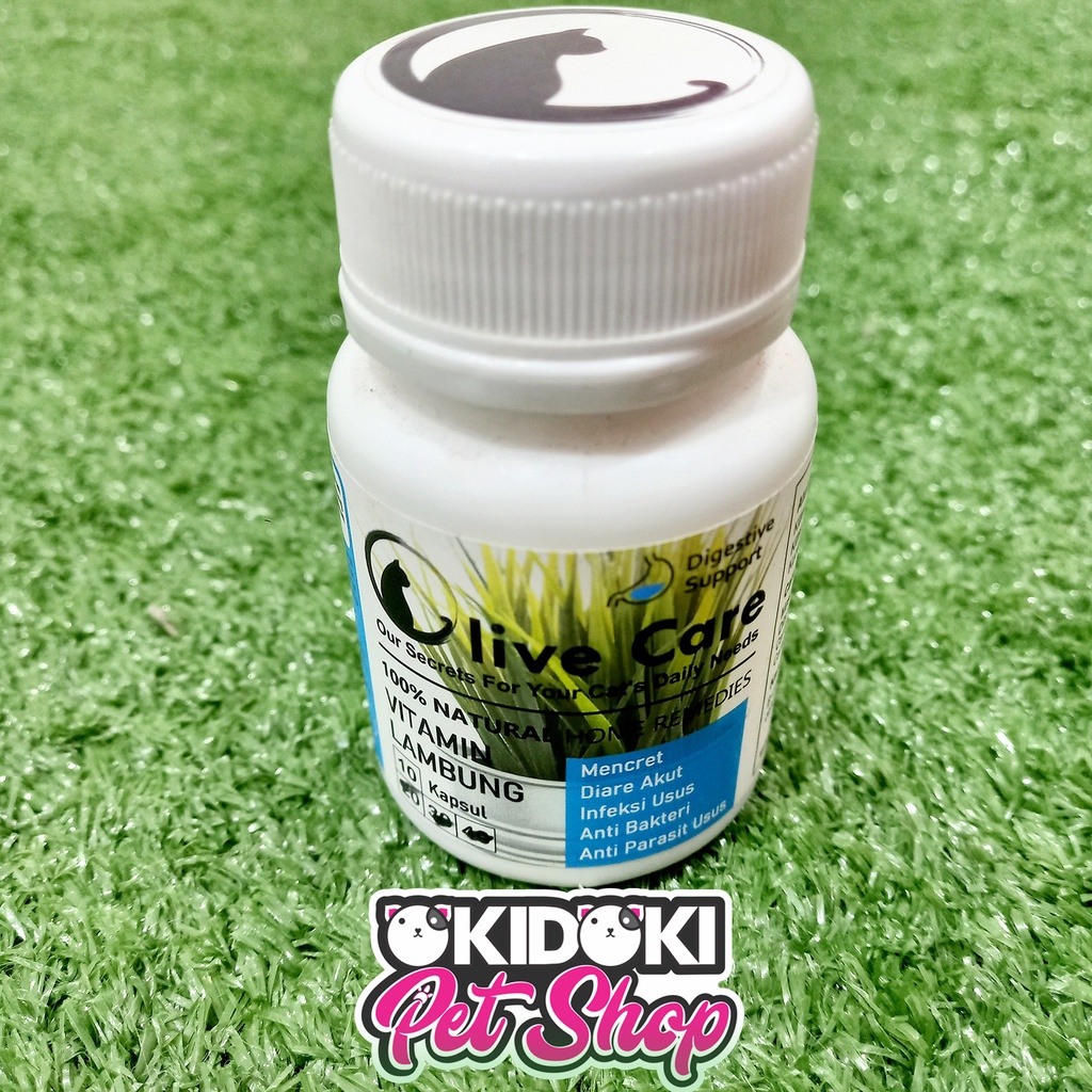 Olive Care / Cat Stomach Vitamins (Blue) For diare Medicine Shopee