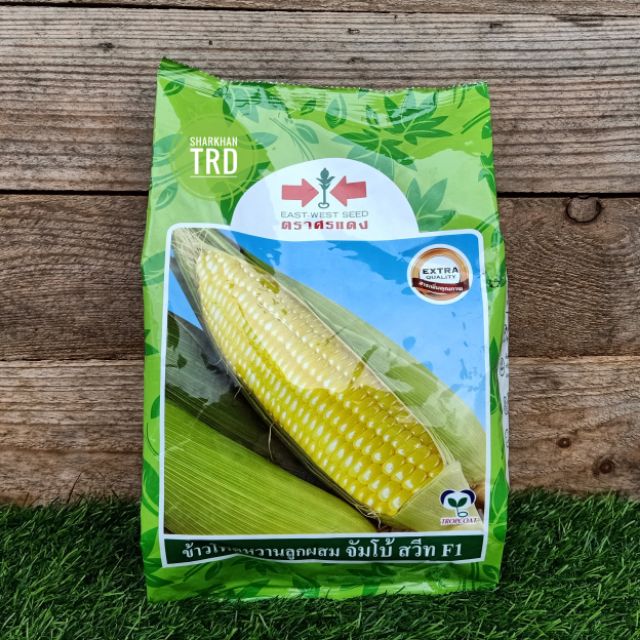 Paket 1kg JUMBO SWEET F1 Biji Benih Jagung Manis Besar F1