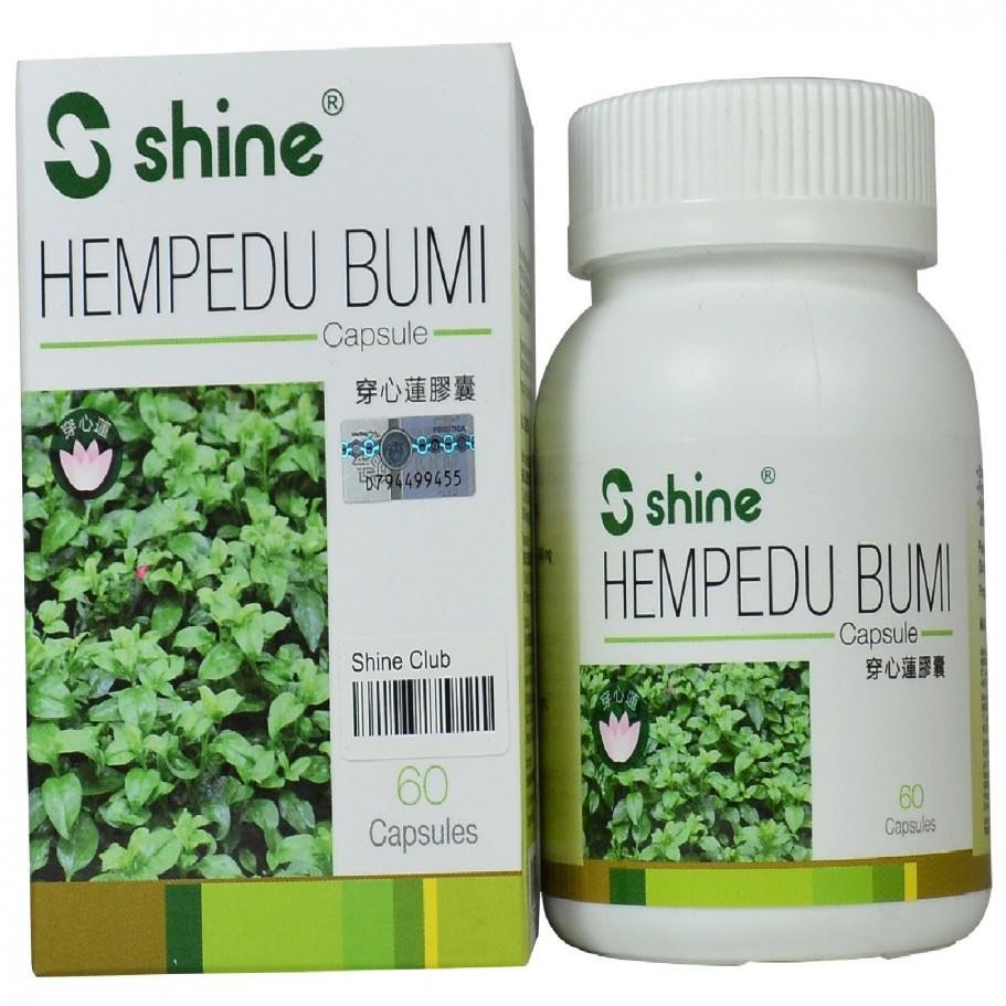 Hempedu Bumi Scientific Name Voooty