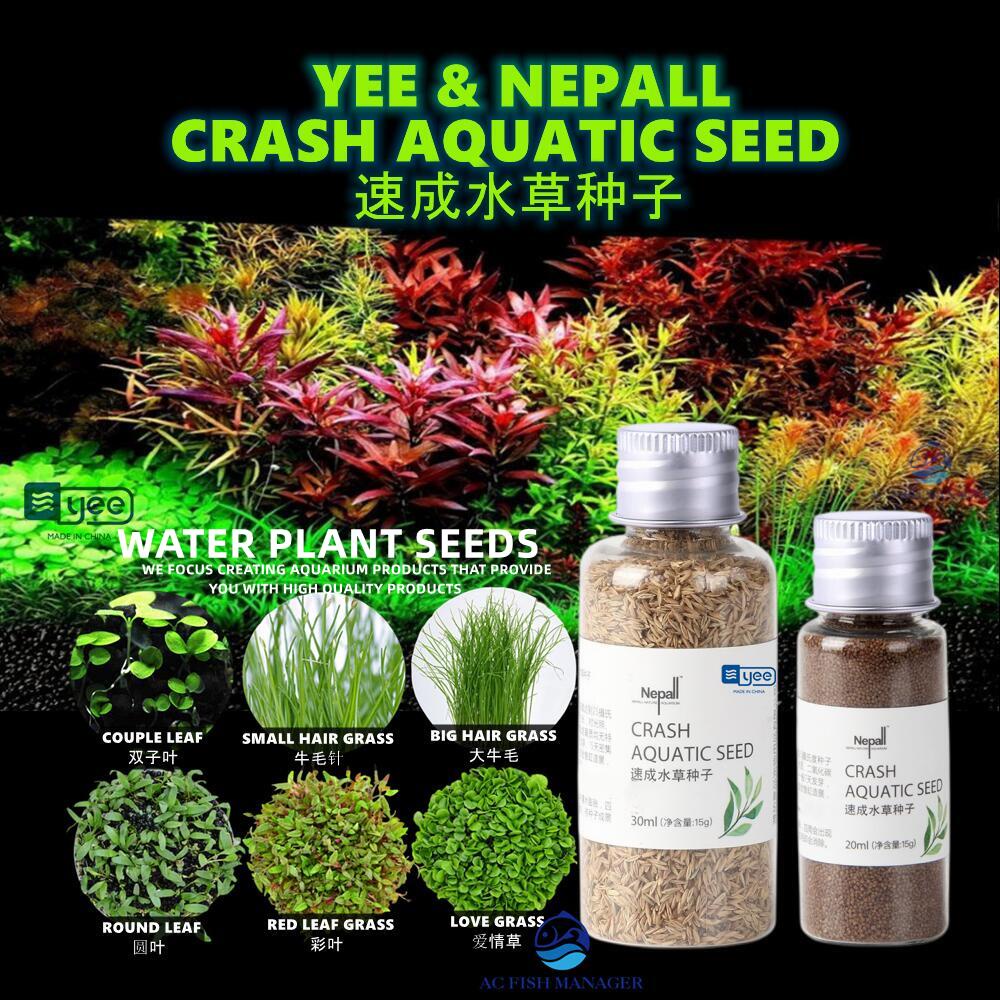YEE & NEPALL Crash Aquatic Seed (Water Plant Seeds) Shopee Malaysia
