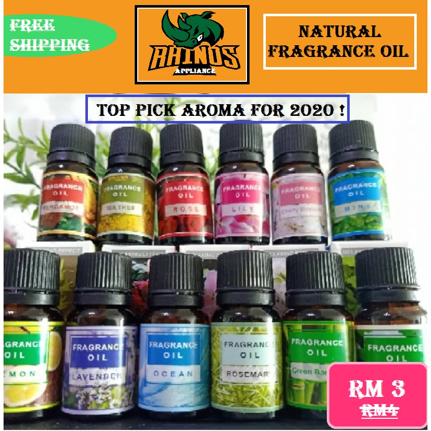 [ Pewangi Rumah ] TOP 12 Natural Plant Humidifier Aromatherapy