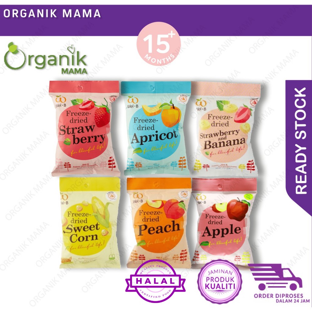 WEL B FreezeDried Fruits (14gm) [HALAL] Shopee Malaysia