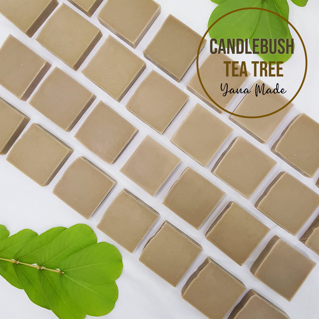 YanaMade Candle Bush Tea Tree Cold Process Soap / 对面叶茶树手工皂 / Essential
