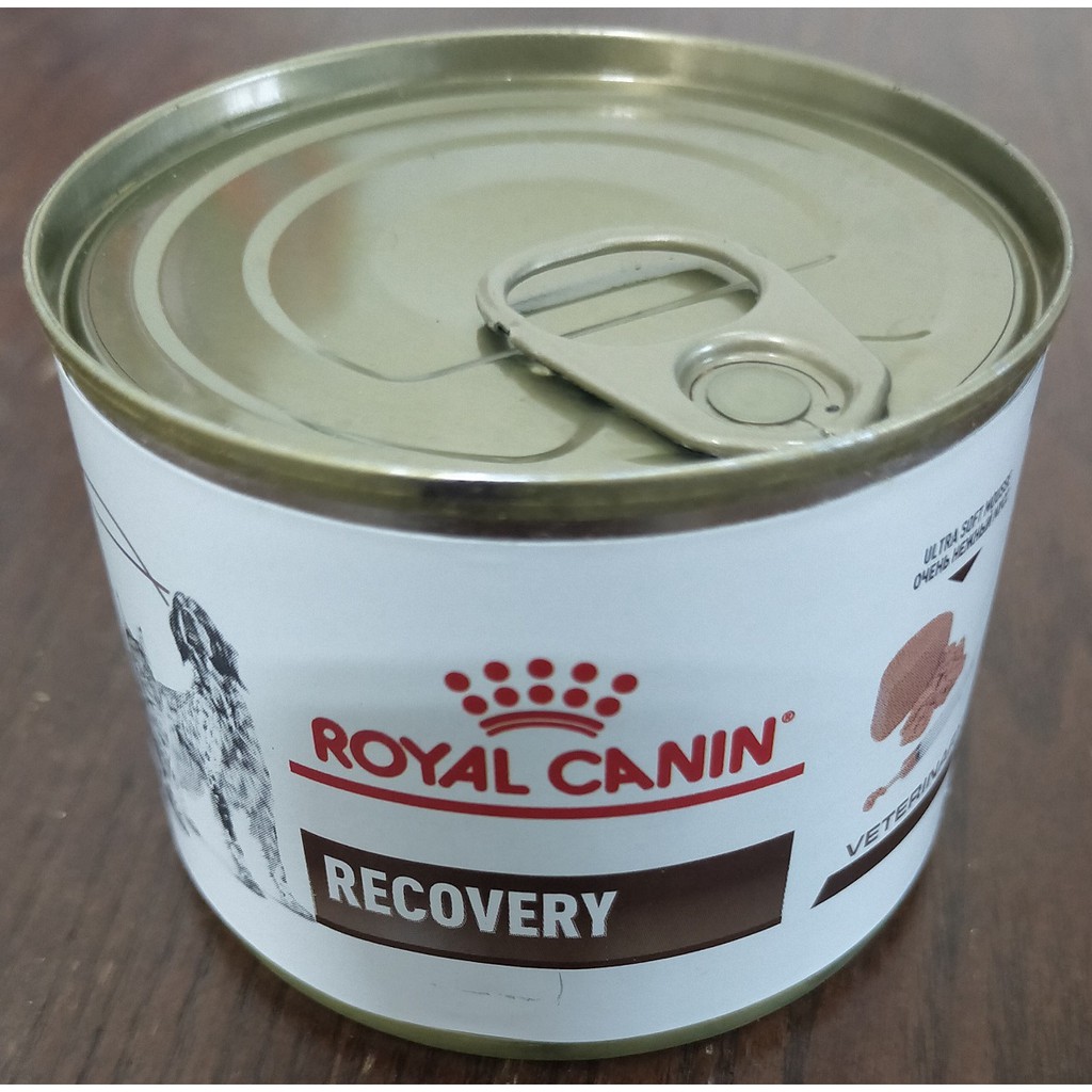 Royal Canin Recovery Dog / Cat Soft Diet Liquid Mousse Food Expiry Year
