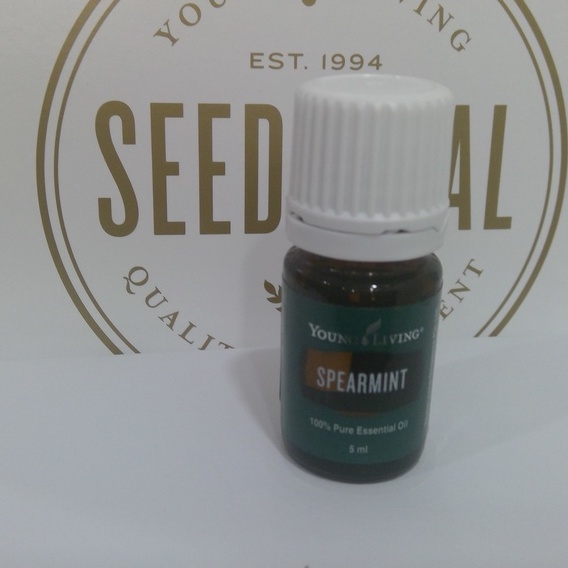 (Ready Stock) Spearmint Essential Oil 5ml by Young Living Shopee Malaysia