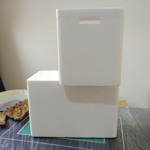 KOTAK GABUS IKAN/Styrofoam box/Kotak Breeding ikan Shopee Malaysia