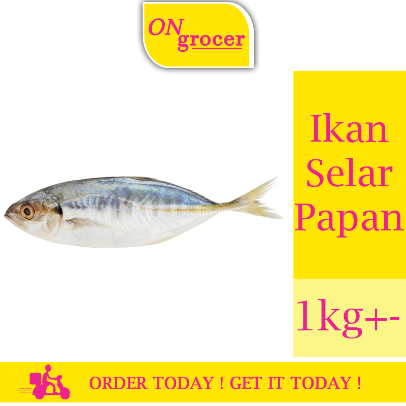 Ikan Selar Papan Up To Date 2022