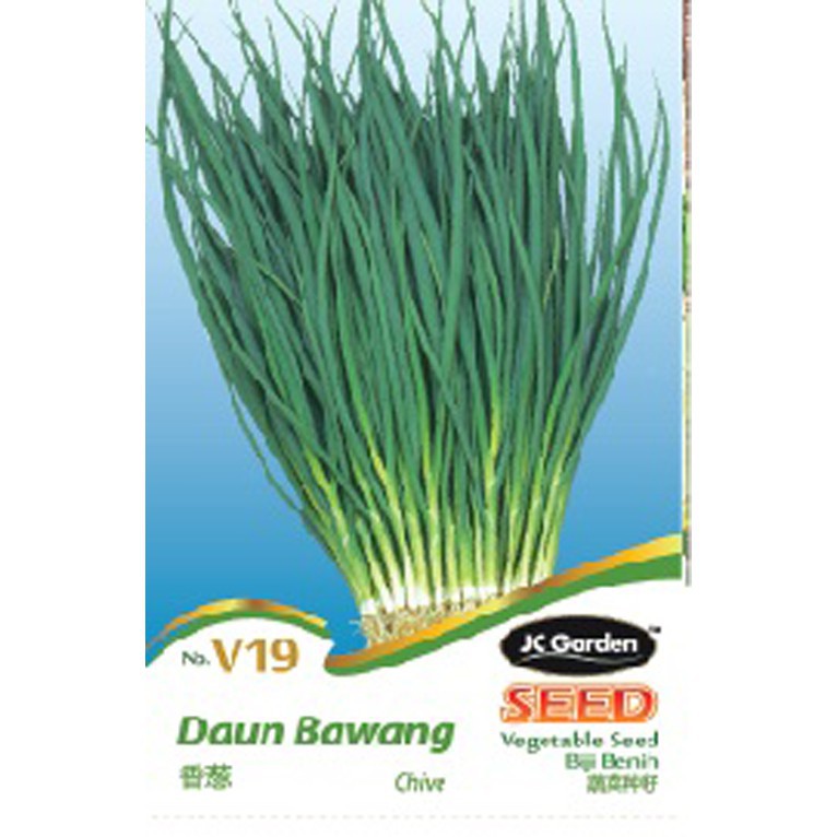 V19 CHIVE JC GARDEN VEGETABLE SEED BIJI BENIH DAUN BAWANG Shopee Malaysia