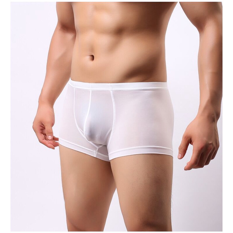Men's Transparent Ice Silk Boxer Briefs Summer Ultrathin Breathable
