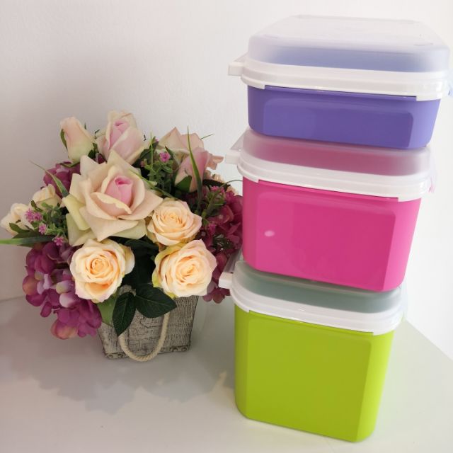 Tupperware Ezy Rect Keeper (1) Shopee Malaysia