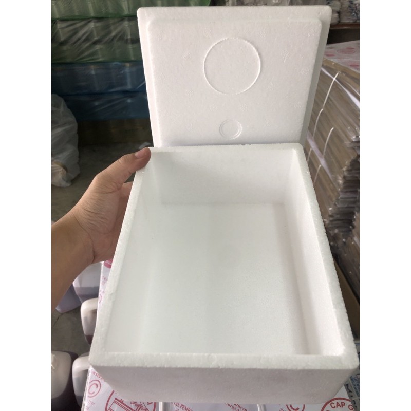 ready stok! polyfoam foam box ikan betta fighting fish ais box kecil