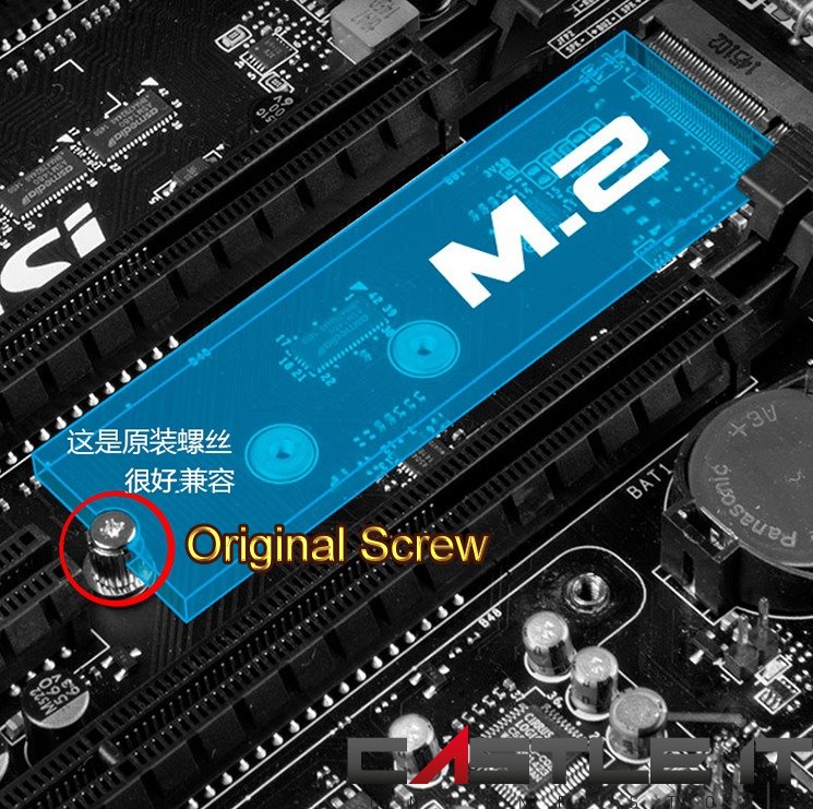 OEM 3mm M.2 Screw for use in M.2 SSD (Screw Only) Thumb Screw and Screw