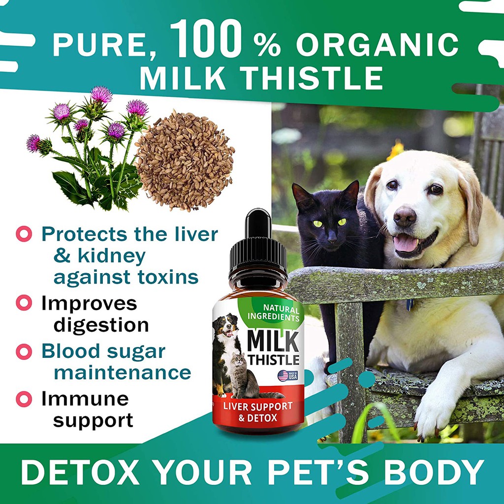 How Much Milk Thistle Do I Give My Dog