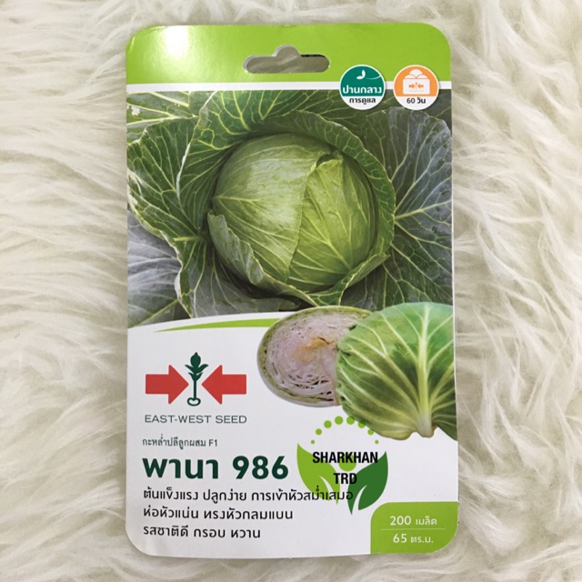 Mini Pack 200 Seeds PANA 986 Biji Benih Kubis Bulat Hijau Green Round