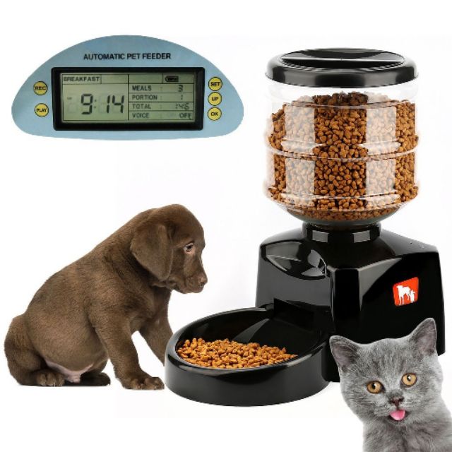 Automatic Pet Feeder Food Bowl Dispenser Dog Cat bekas makanan kucing