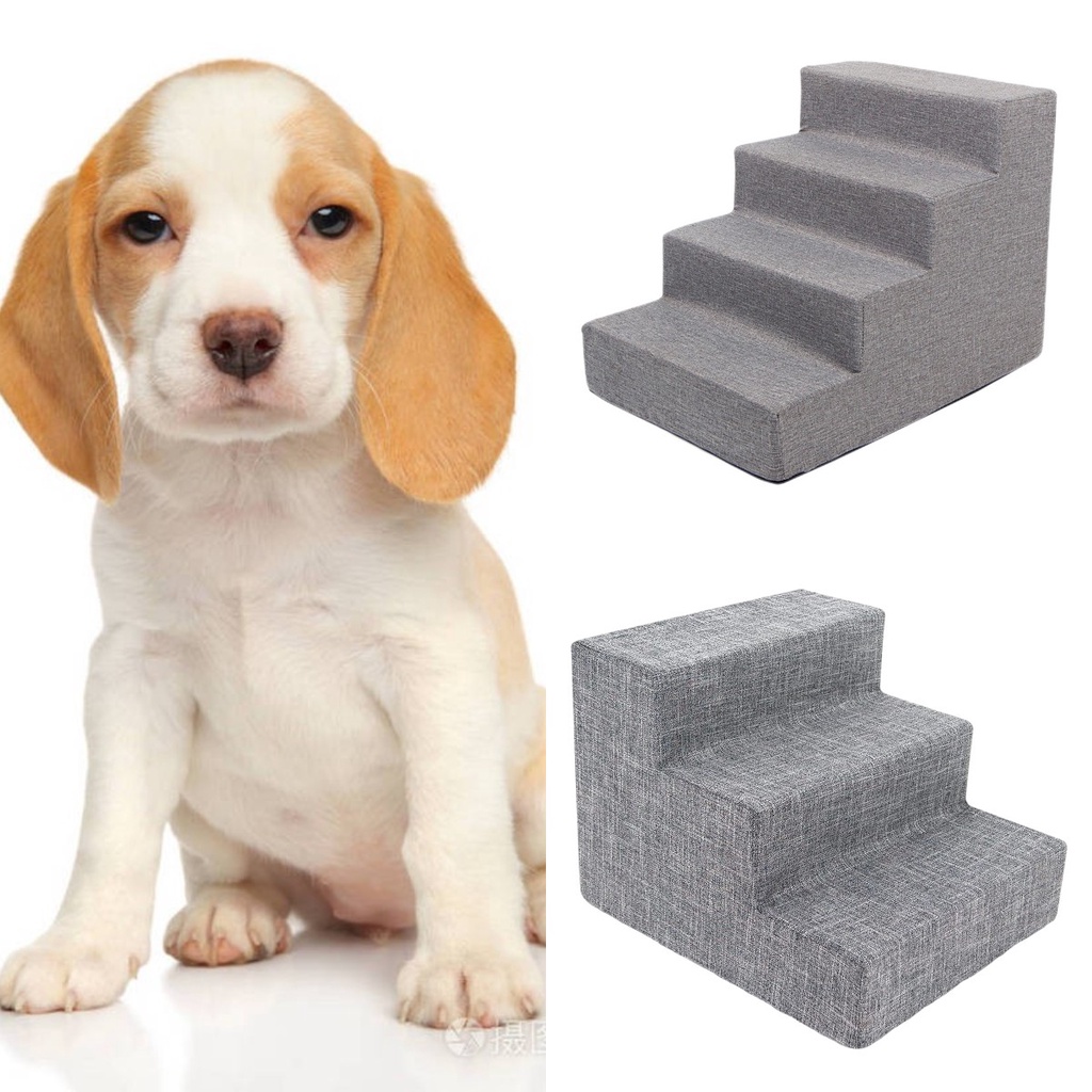 When Can My Labrador Puppy Climb Stairs