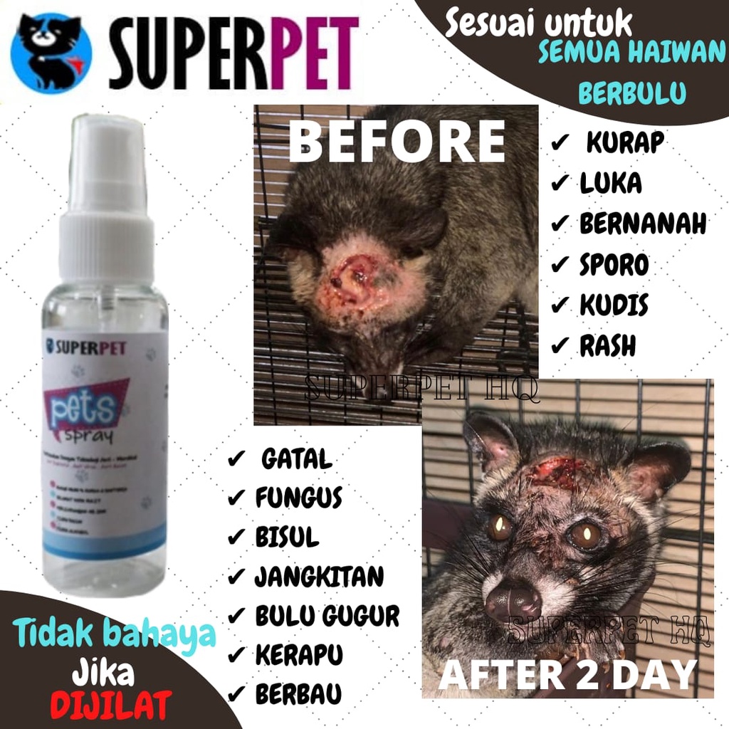 beli 3 percuma 1 spray kurap kucing ubat luka sporo fungus telinga bulu