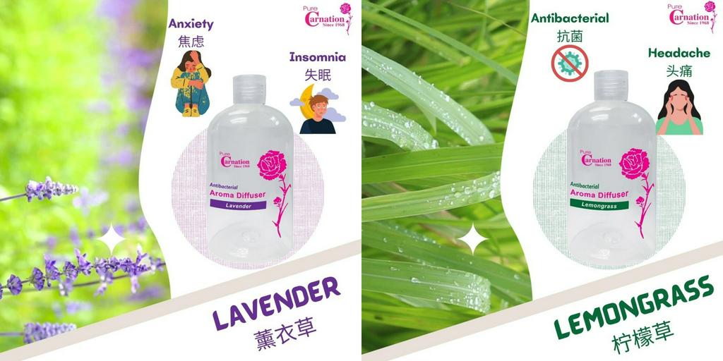 Factory Direct, Online Shop Shopee Malaysia