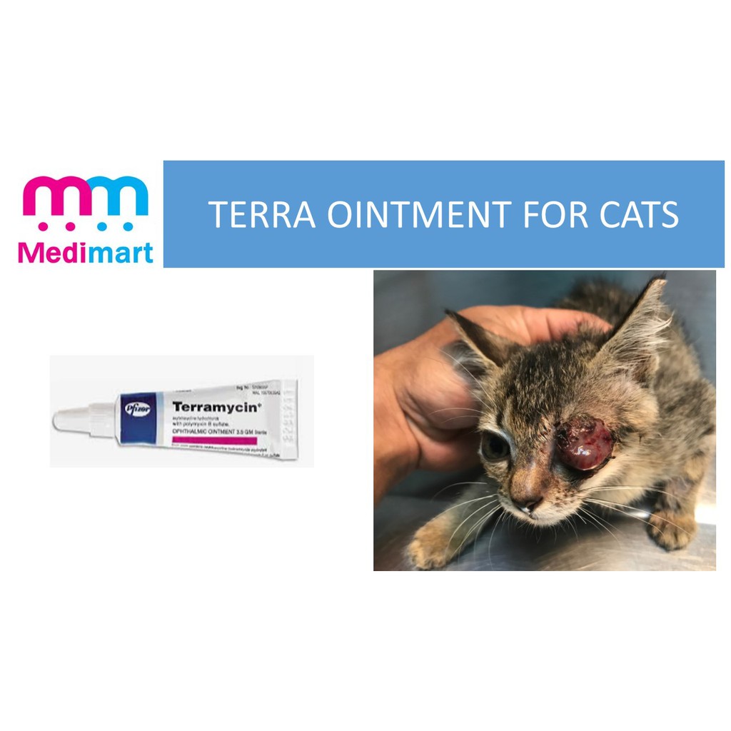 Terramycin Eye Ointment For Cats