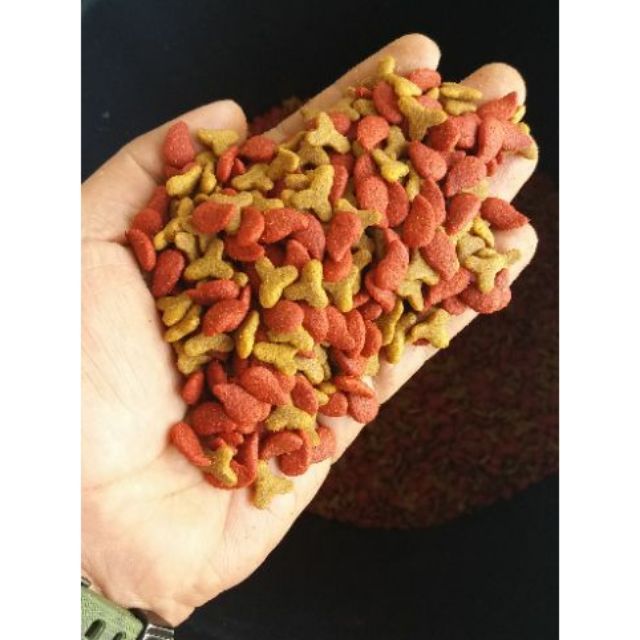 8kg free 1 kg Makanan kucing more more please seafood (green) Shopee