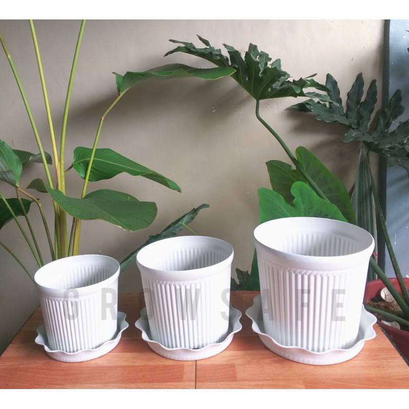 Corinthian Pot (Ludu) Small Medium Large plant pot with catch plate