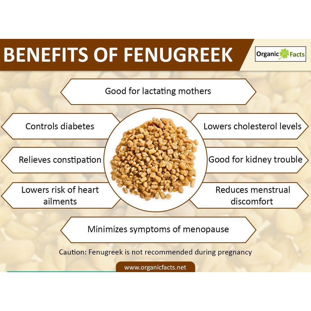 Cooking Fenugreek Seeds Powder (Ready to Use) 250 g LACTATION AID BREASTFEEDING GALACTOGOGUE L