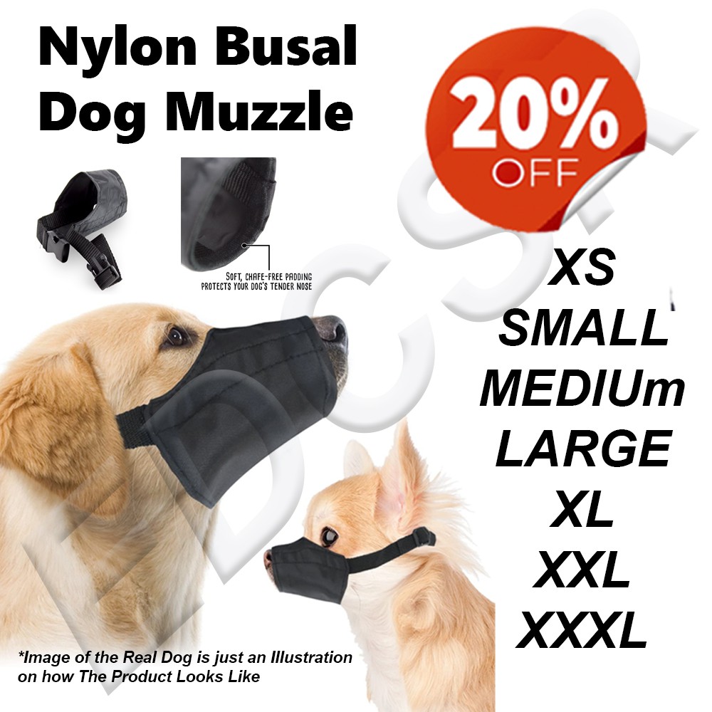 Do Dog Groomers Use Muzzles