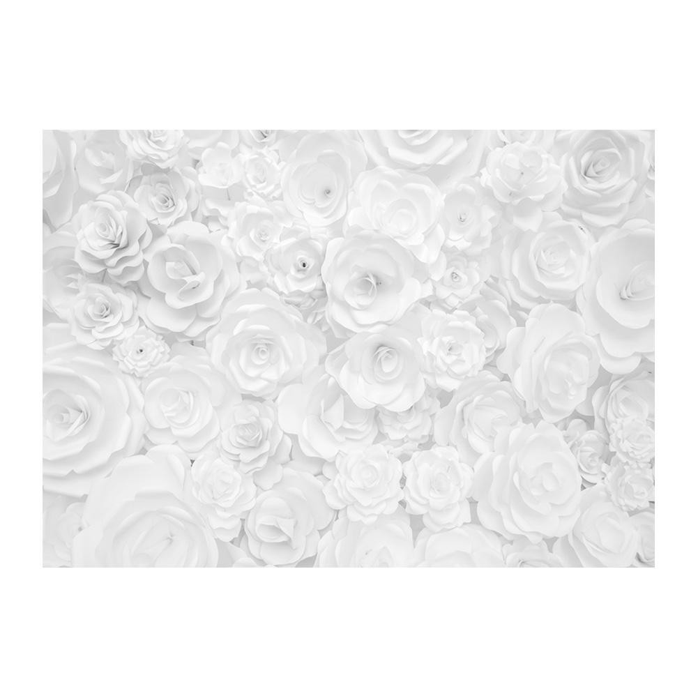 40+ Koleski Terbaik Photography Background Putih Motif