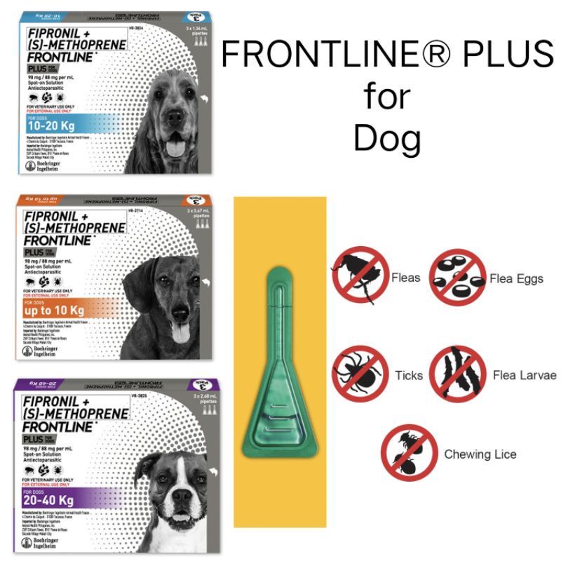 FRONTLINE Plus For Dogs Flea & Tick Spot Treatment Relieve Itching And