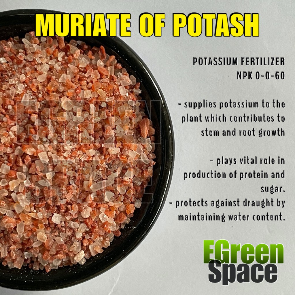 MOP MURIATE OF POTASH 200g (Plant Fertilizer) Shopee Philippines