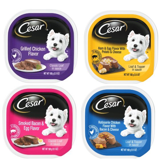 Can I Switch Dog Food Flavors