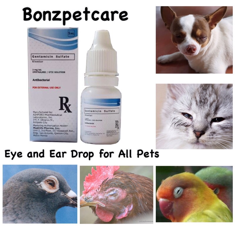 Bonzpetcare Gentamicin Eye and Ear drop for all Pets. Shopee Philippines