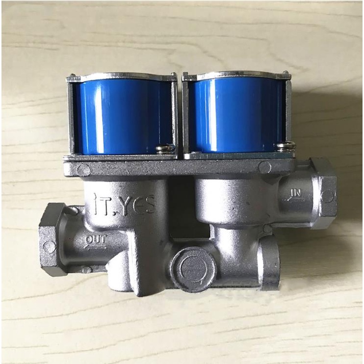 Universal For Gas Oven Repair Parts, Dual Valve 24v Shopee Philippines